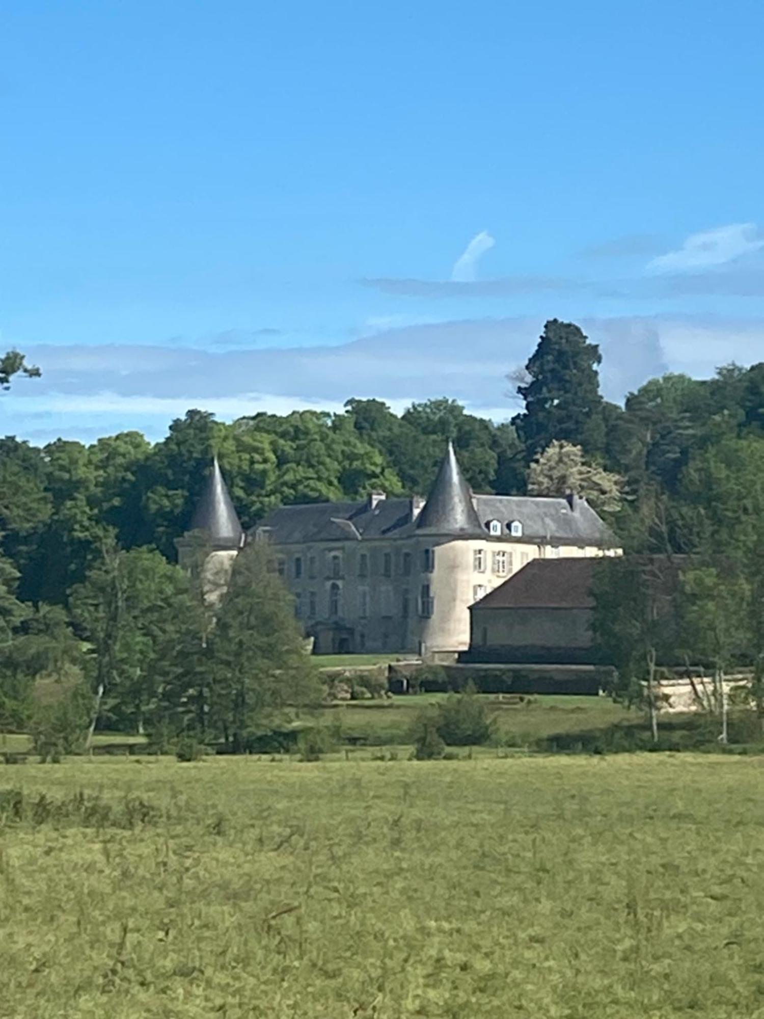 Chateau De Beaujeu Sens-Beaujeu Ngoại thất bức ảnh